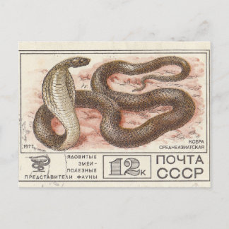 Zentralasienkobra der sowjetischen Briefmarke Postkarte