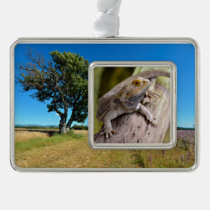 Zentralbartdrache auf Zweig-Postkartenkaffee m Rahmen-Ornament Silber