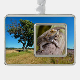Zentralbartdrache auf Zweig-Postkartenkaffee m Rahmen-Ornament Silber