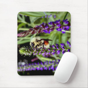Zentralblume mit blühender Speedwell-Pflanze Mousepad
