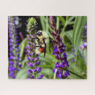 Zentralblume mit blühender Speedwell-Pflanze Puzzle