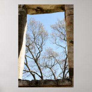 Zentrale Texas-Ansicht Poster