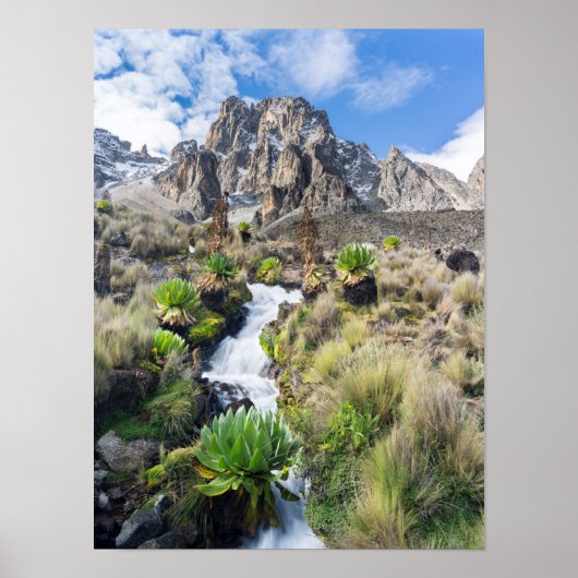Zentraler Mount-Kenya-Nationalpark Poster (Vorne)