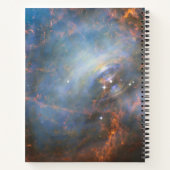 Zentraler Neutronenstern im Krabbennebel. Notizblock (Rückseite)