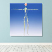 Zentrales Nervensystem mit menschlichem Gehirn Leinwanddruck (Insitu (Holzboden))