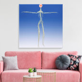 Zentrales Nervensystem mit menschlichem Gehirn Leinwanddruck (Insitu (Wohnzimmer))