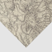 Zentrales NordNew Mexiko Seidenpapier (Ausschnitt)