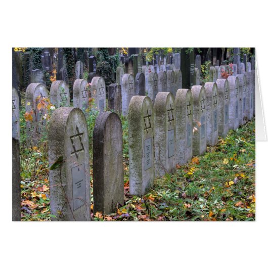 Zentralfriedhof (Vorderseite (Horizontal))