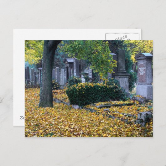 Zentralfriedhof Postkarte (Vorne/Hinten)