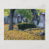 Zentralfriedhof Postkarte (Vorderseite)