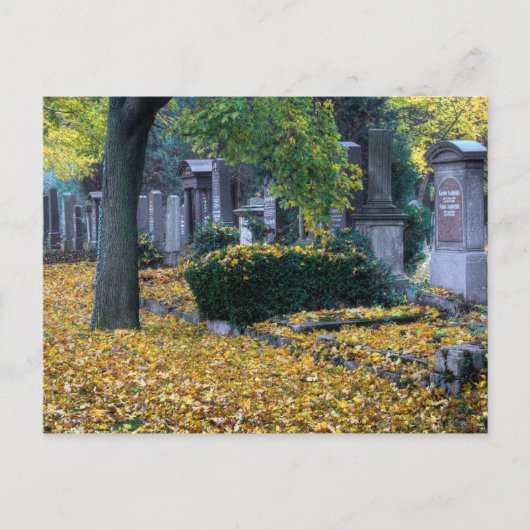 Zentralfriedhof Postkarte (Vorderseite)
