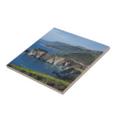 Zentralküste Kaliforniens Fliese (Seite)