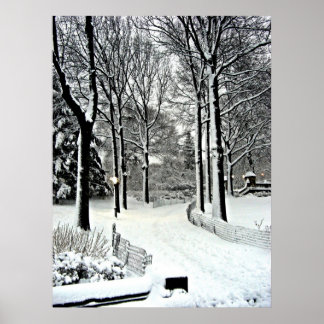 Zentralpark 2010 Schnee - CIMG6446 Poster