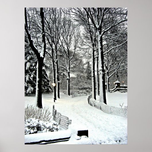 Zentralpark 2010 Schnee - CIMG6446 Poster (Vorne)