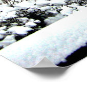 Zentralpark 2010 Schnee - CIMG6446 Poster (Ecke)