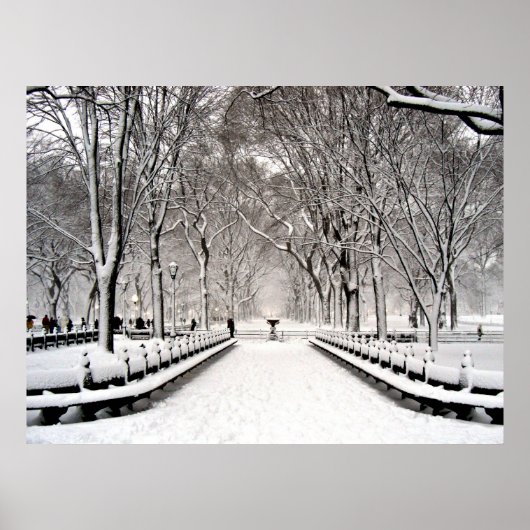 Zentralpark 2010 Schnee - CIMG6496 Poster (Vorne)
