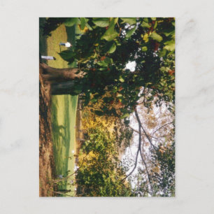 Zentralpark im Herbst Postkarte