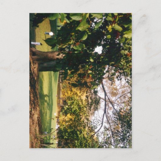 Zentralpark im Herbst Postkarte (Vorderseite)