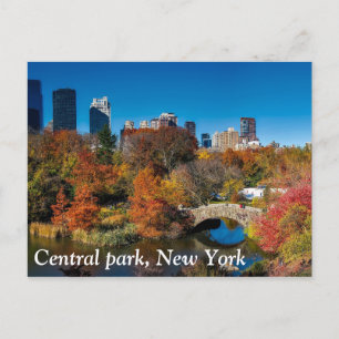 Zentralpark im Herbstwald New Yorks Postkarte