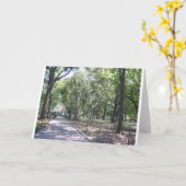 Zentralpark Karte (Gelbe Blume)