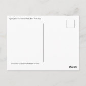 Zentralpark New York Blühender Baum im Frühjahr Postkarte (Rückseite)