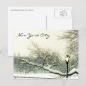 Zentralpark nybaum postkarte (Vorne/Hinten)