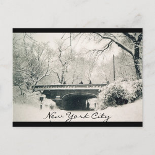 Zentralpark nyc postkarte