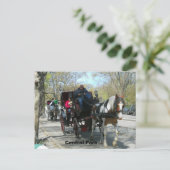 Zentralpark, Pferd und Beförderung Postkarte (Stehend Vorderseite)