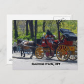 Zentralpark, Pferd und Beförderung Postkarte (Vorne/Hinten)