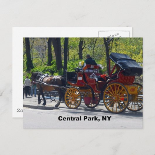 Zentralpark, Pferd und Beförderung Postkarte (Vorne/Hinten)