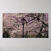 Zentralpark Poster (Vorne)