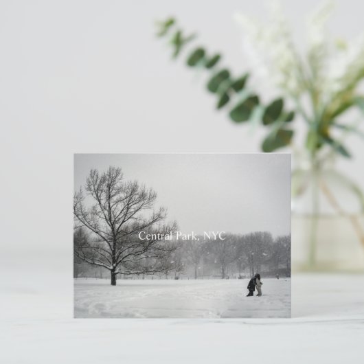 Zentralpark, Postkarte (Stehend Vorderseite)