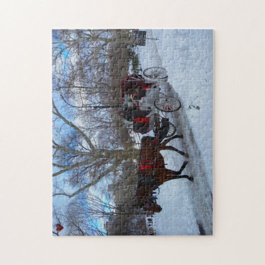 Zentralpark Puzzle (Vertikal)