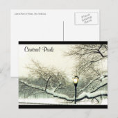 Zentralparkschneebaum Postkarte (Vorne/Hinten)