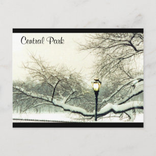 Zentralparkschneebaum Postkarte