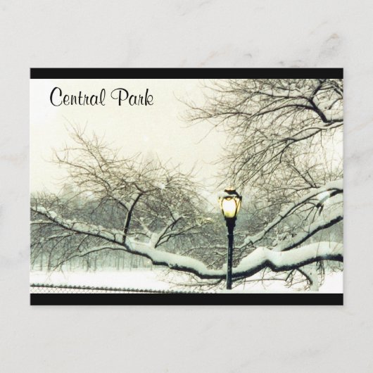 Zentralparkschneebaum Postkarte (Vorderseite)