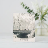 Zentralschneeweiß Postkarte (Stehend Vorderseite)