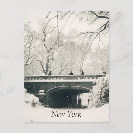 Zentralschneeweiß Postkarte (Vorderseite)