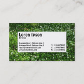 Zentrum - Blume Visitenkarte (Rückseite)