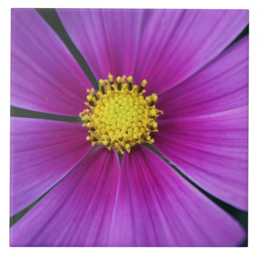 Zentrum der Kosmos-Tile Fliese (Vorderseite)