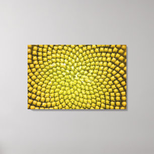 Zentrum einer riesigen Sonnenblume (Helianthus ann Leinwanddruck
