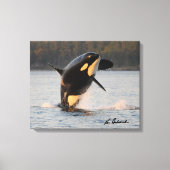 Zentrum für Whaleforschung - Canvas Print Leinwanddruck (Vorderseite)