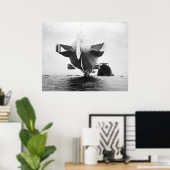 Zeppelin Stern: 1908 Poster (Heimbüro)