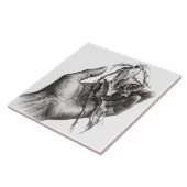 Zerbrechlicher Griff Fliese (Seite)