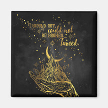 Zerbrochen, gezähmter Magnet