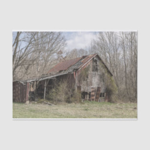 Zerbrochen Stall inmitten von Bäumen und Scrub Bus Seidenpapier