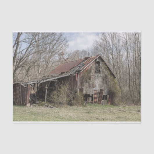 Zerbrochen Stall inmitten von Bäumen und Scrub Bus Seidenpapier (Vorderseite)