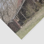 Zerbrochen Stall inmitten von Bäumen und Scrub Bus Seidenpapier (Ausschnitt)