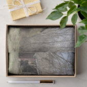 Zerbrochen Stall inmitten von Bäumen und Scrub Bus Seidenpapier (Geschenk)