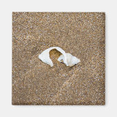 Zerbrochene Muschel Kühlschrankmagnet (Vorne)